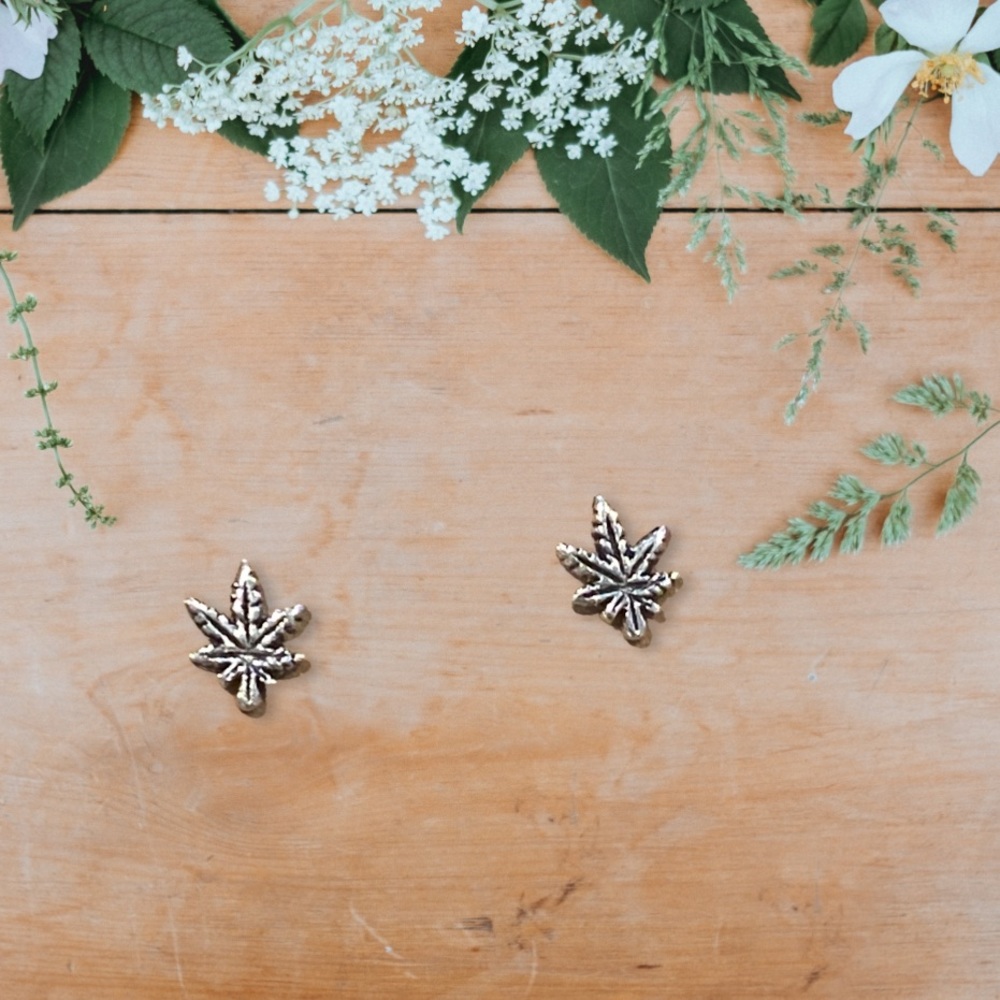 Earrings Stud NWOT